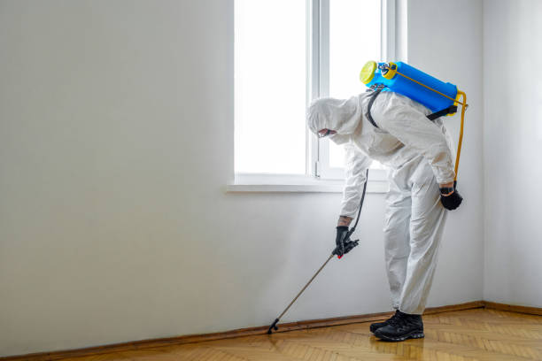 Best Pest Removal Services  in Russell Springs, KY