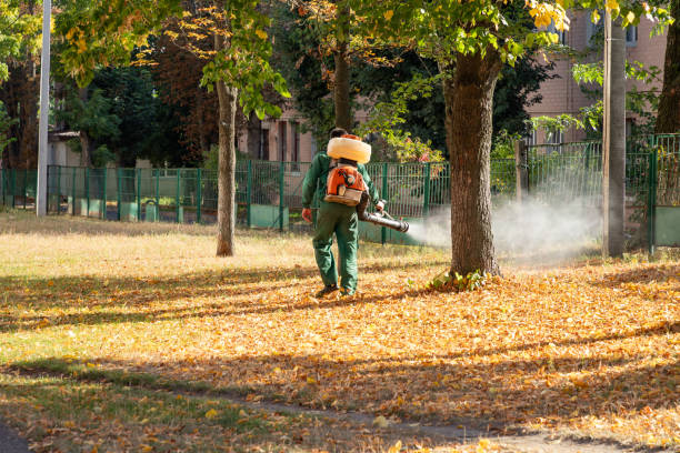 Best Flea Control Services  in Russell Springs, KY