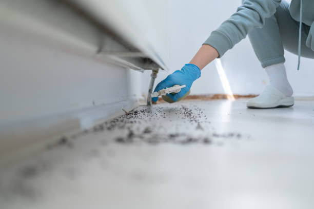 Best Commercial Pest Control Services  in Russell Springs, KY